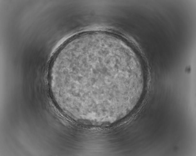 X0000114651216200912011104