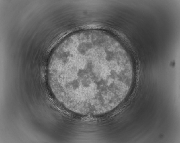 X0000114651217200912011104