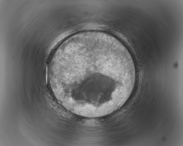 X0000114651219200912011104