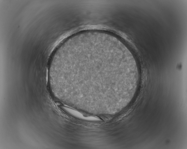 X0000114651221200912011104