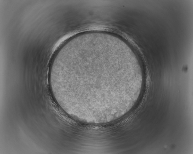 X0000114651222200912011104