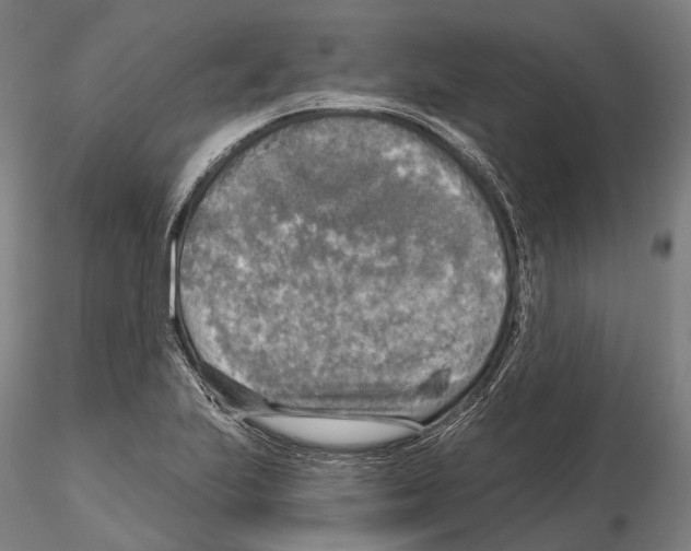 X0000114651223200912011104