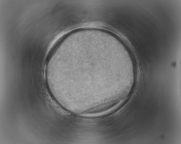 X0000114651224200912011104