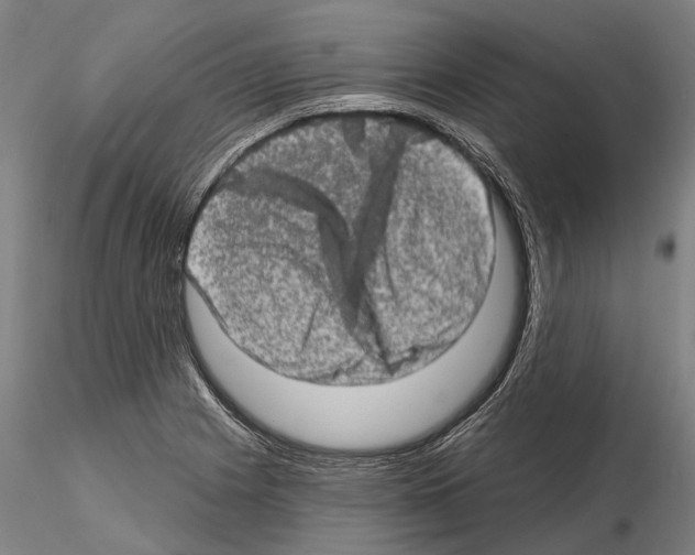 X0000114651225200912011104