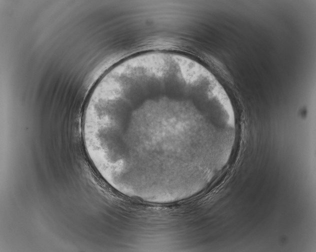 X0000114651226200912011104