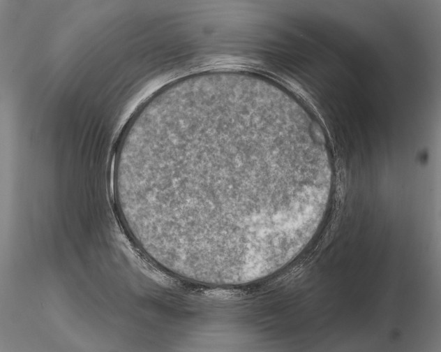 X0000114651227200912011104