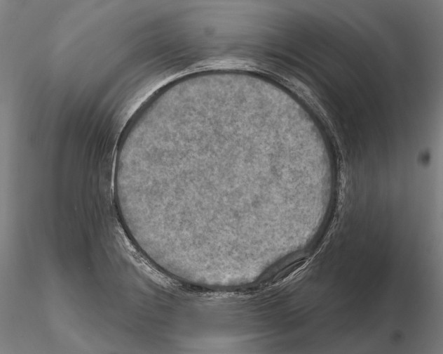 X0000114651228200912011104