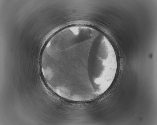 X0000114651229200912011104