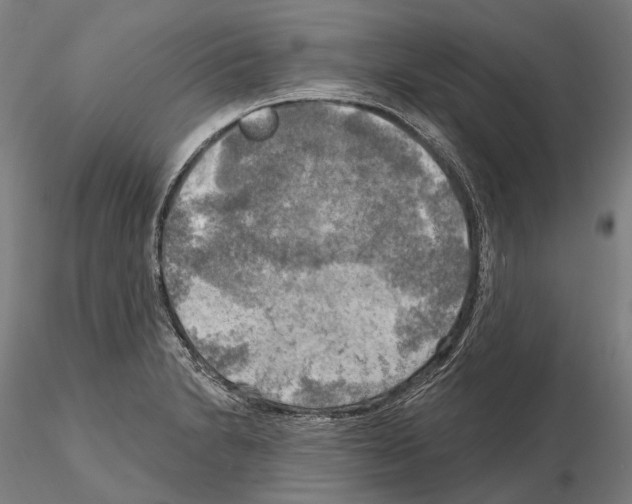 X0000114651230200912011104