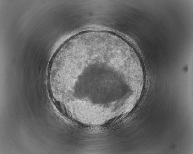 X0000114651231200912011104