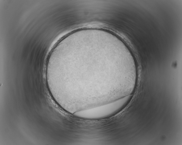 X0000114651232200912011104