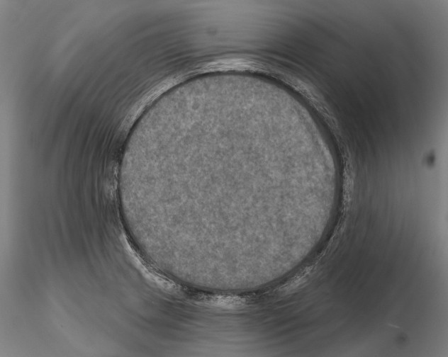 X0000114651233200912011104