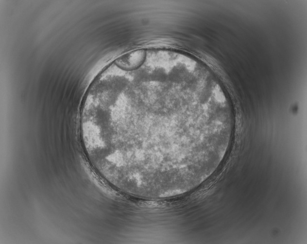 X0000114651234200912011104