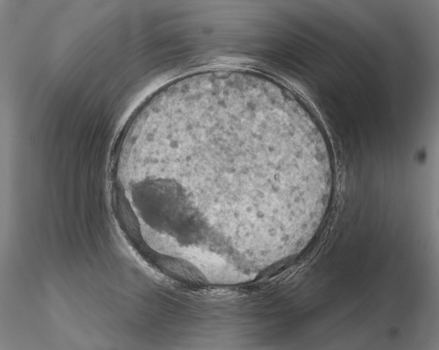 X0000114651235200912011104