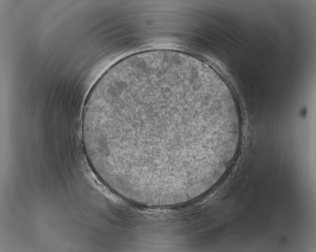 X0000114651236200912011104