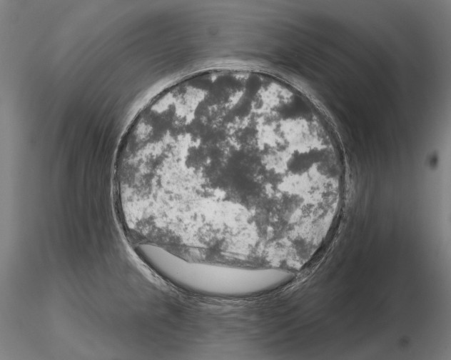 X0000114651237200912011104