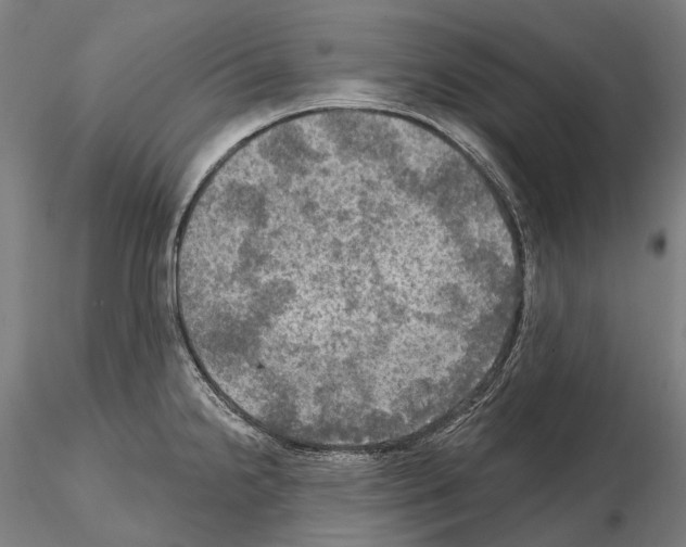 X0000114651238200912011104