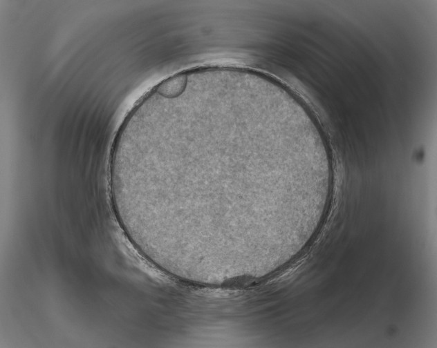 X0000114651240200912011105