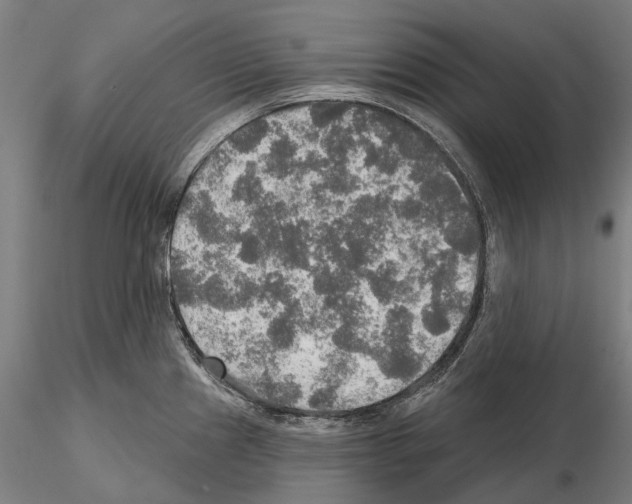 X0000114651241200912011105