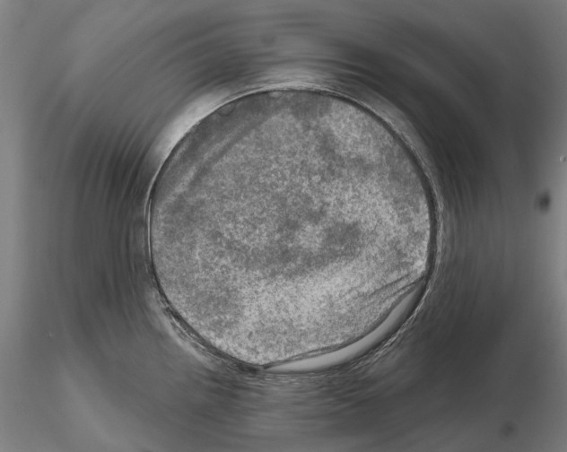 X0000114651242200912011105