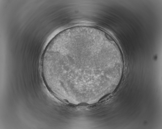 X0000114651243200912011105