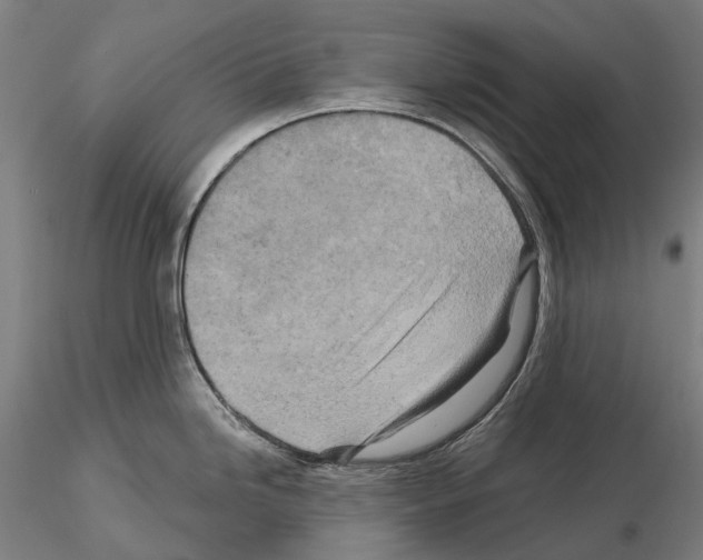 X0000114651246200912011105