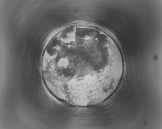 X0000114651247200912011105