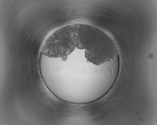 X0000114651248200912011105