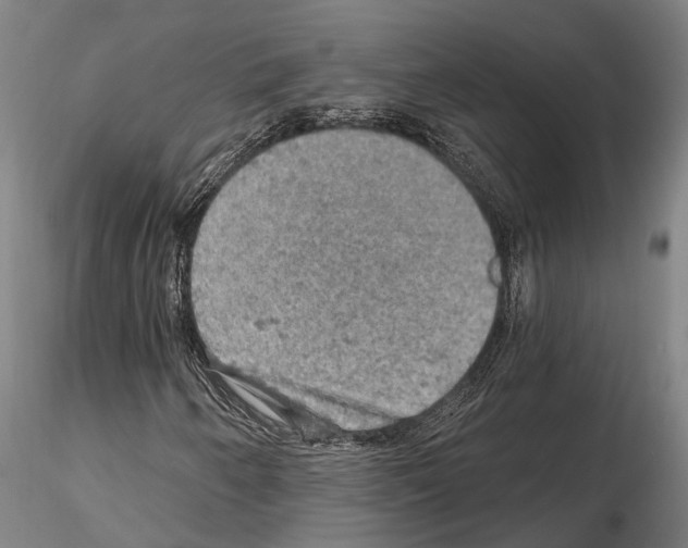 X0000114651250200912011104