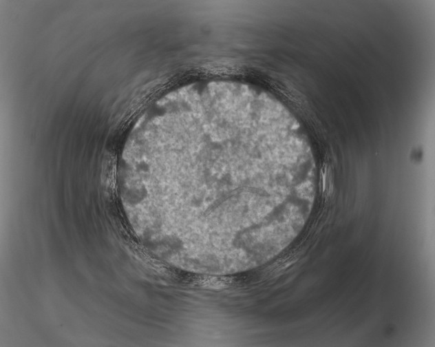 X0000114651251200912011104