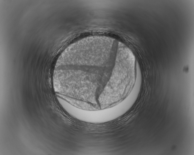 X0000114651252200912011104