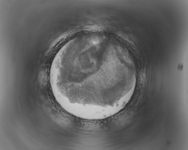 X0000114651254200912011104