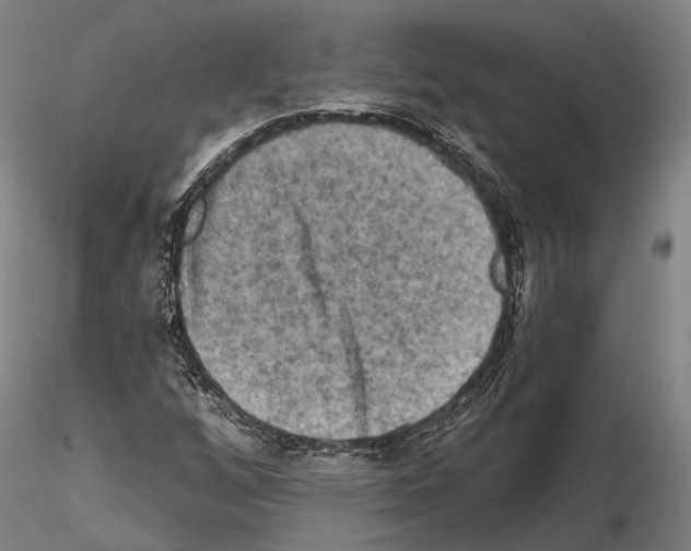 X0000114651256200912011104