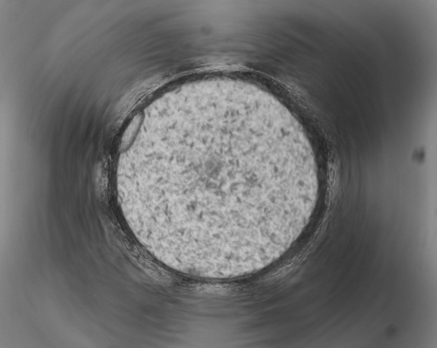 X0000114651257200912011104