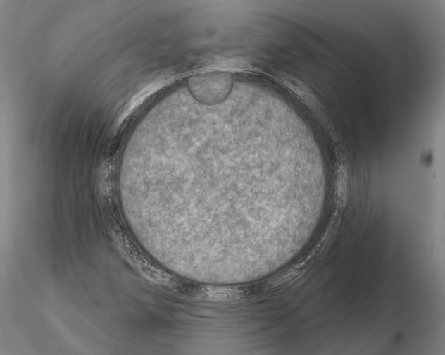 X0000114651258200912011104