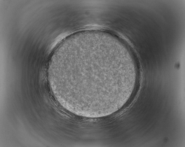 X0000114651259200912011104