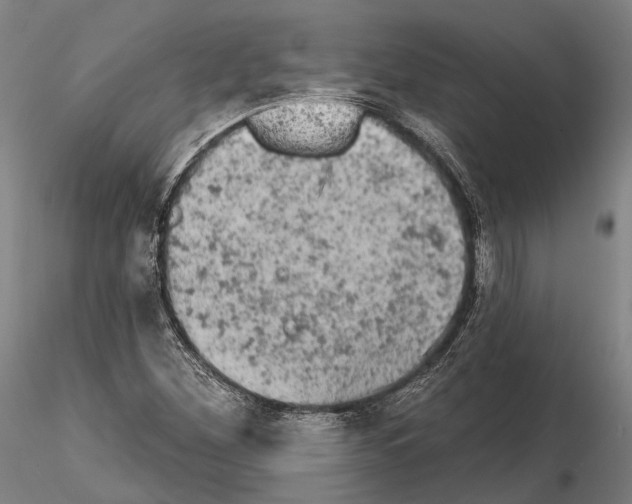 X0000114651260200912011104