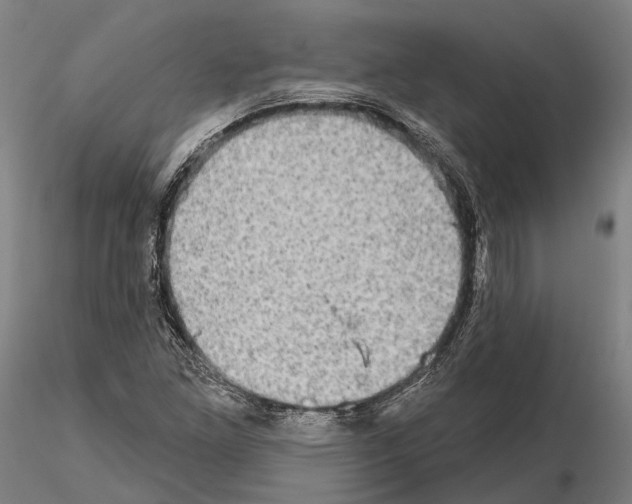 X0000114651261200912011104