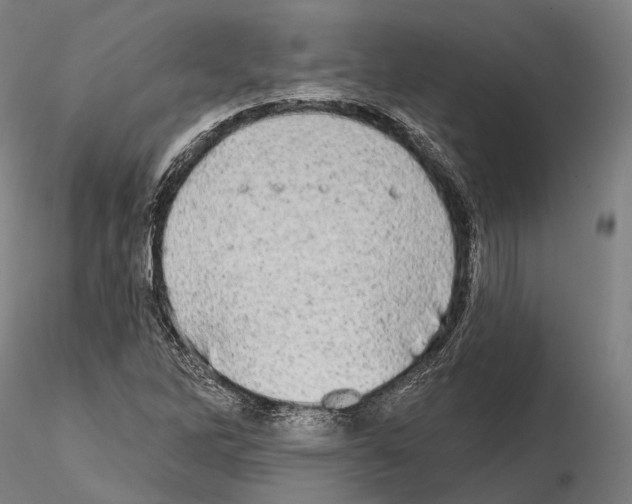 X0000114651262200912011103