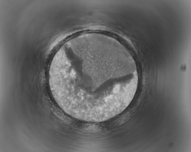 X0000114651263200912011103