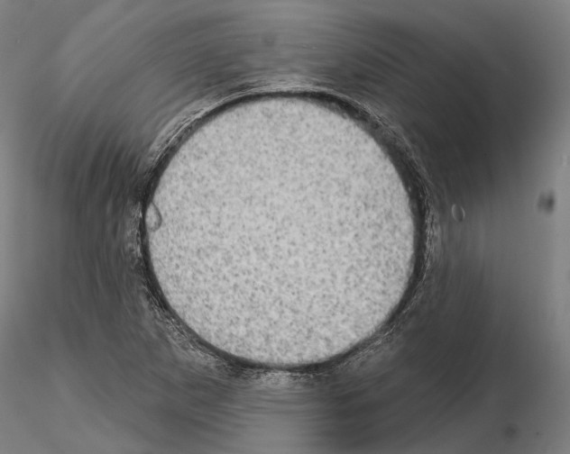 X0000114651265200912011103