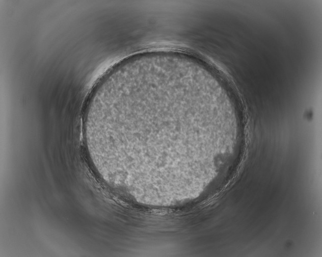 X0000114651267200912011103