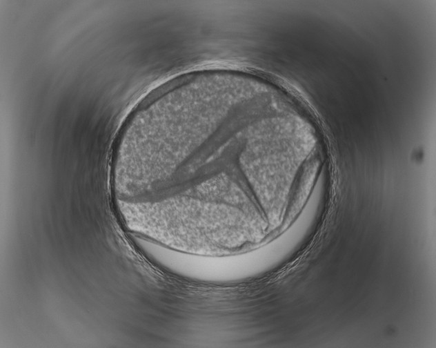 X0000114651268200912011103