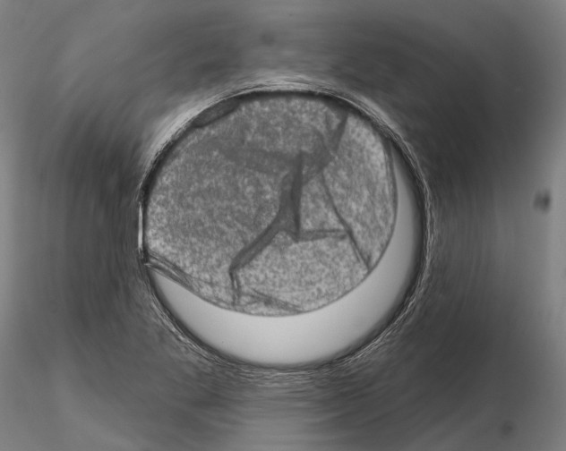 X0000114651269200912011103