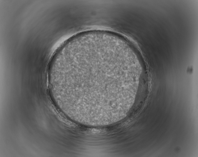 X0000114651271200912011103