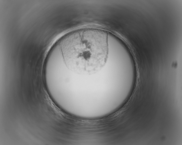 X0000114651272200912011103