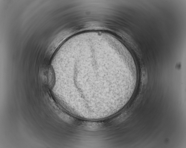 X0000114651273200912011103