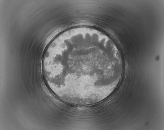 X0000114651274200912011103