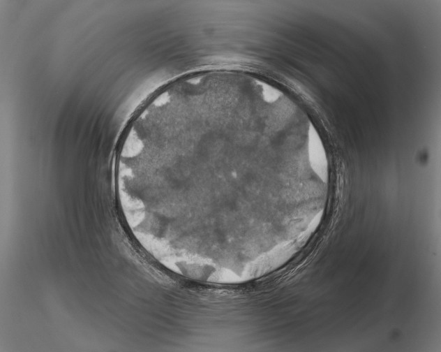 X0000114651275200912011103