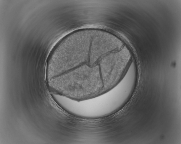 X0000114651276200912011103